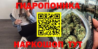 мяу мяу мука Мариинск