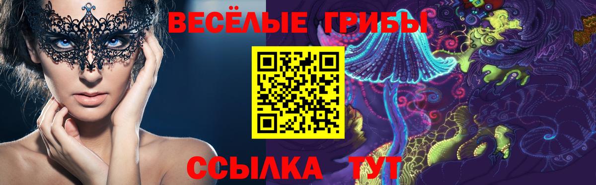 Галлюциногенные грибы Psilocybine cubensis Усолье-Сибирское
